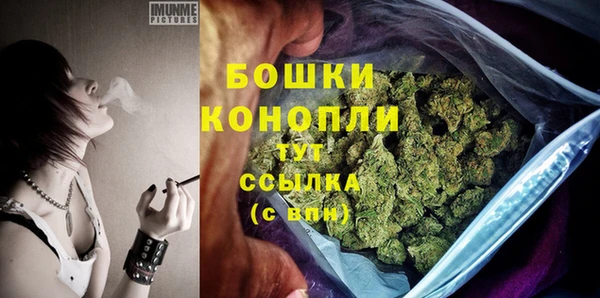 прущие крисы Арсеньев